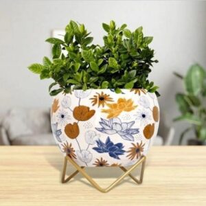 white flower pot